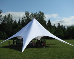 Exhibition Star Gazebos Tents