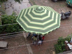 Architecural Garden Umbrellas
