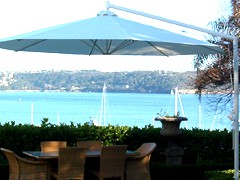 garden-umbrella